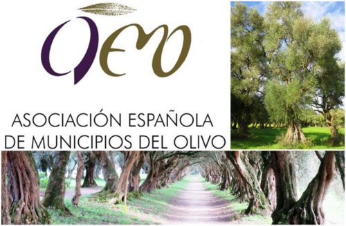 Asociación Española de Municipios del Olivo