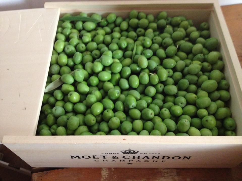 Aceitunas Manzanilla Villalonga