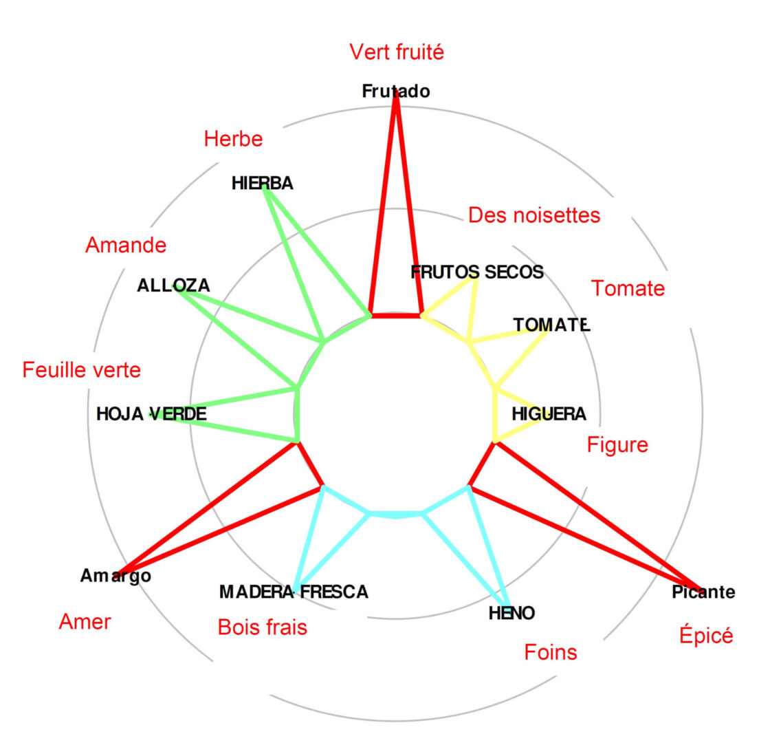 Señoríos de Relleu - Aceite de Oliva Vírgen extra - Estrella Sensorial Delicate Coupage