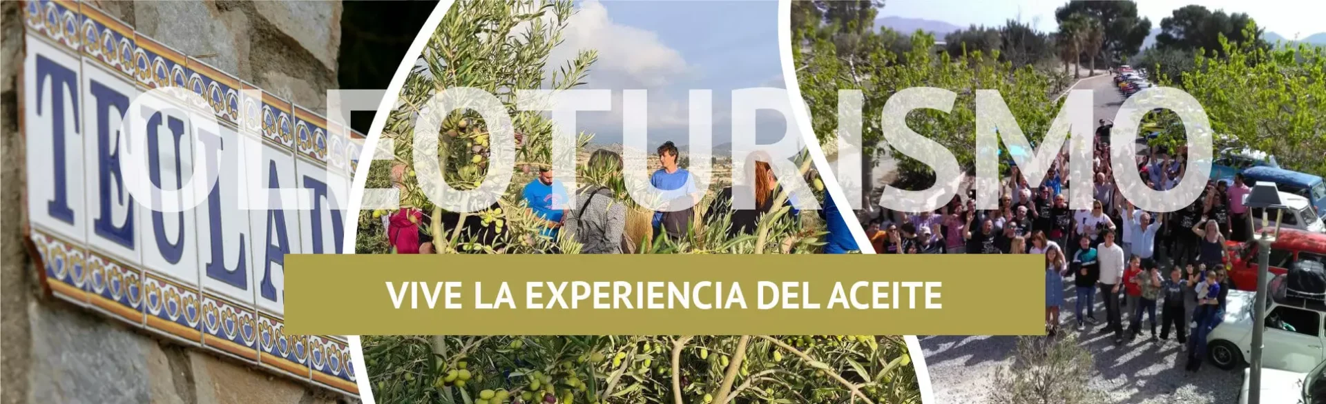 Oleoturismo en Señoríos de Relleu. Disfruta del turismo de aceite de oliva virgen extra