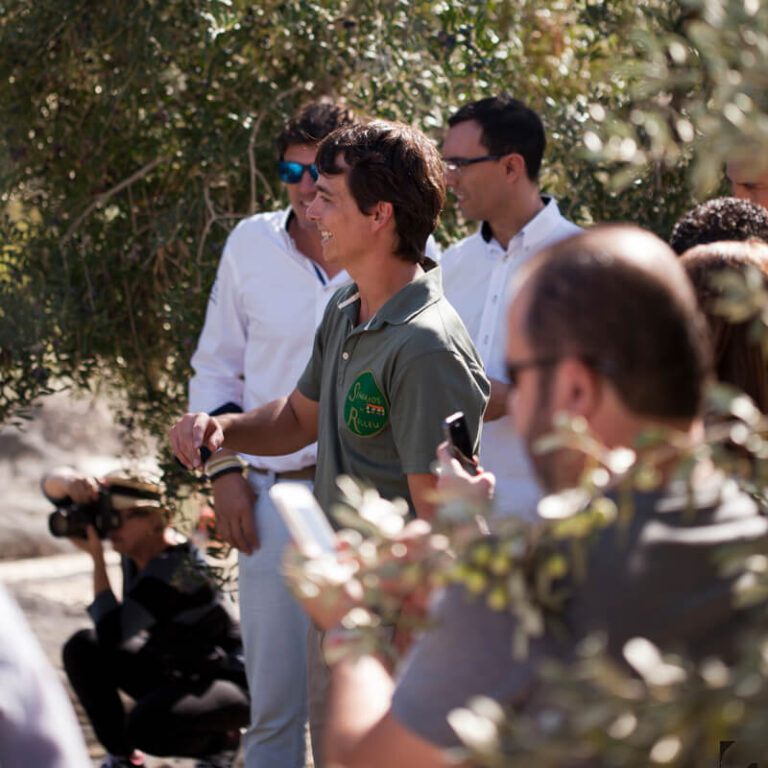 Visitar un jardín de olivos con