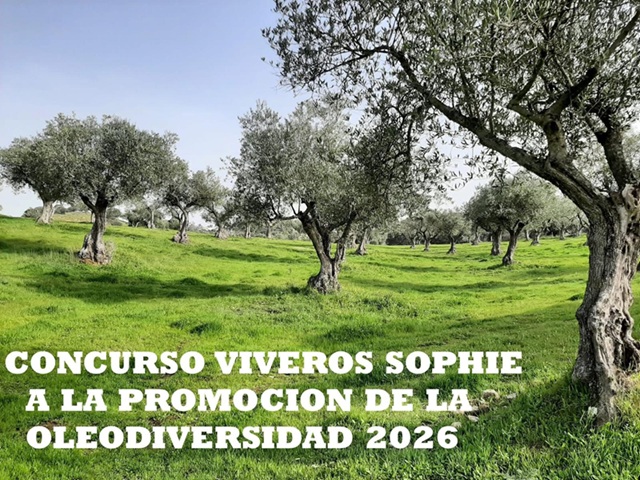 Oleodiversidad en España